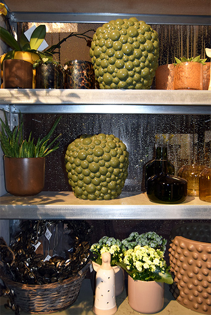 Boutique Violen