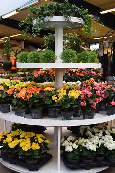 Skara Blomsterland