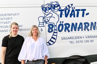 Tvättbjörnarna