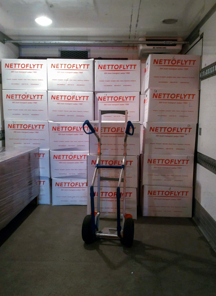 Nettoflytt