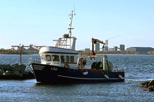 Brandö Fisk